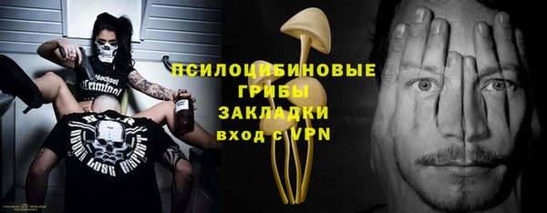 ПСИЛОЦИБИНОВЫЕ ГРИБЫ Богородск