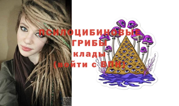 ПСИЛОЦИБИНОВЫЕ ГРИБЫ Богородск