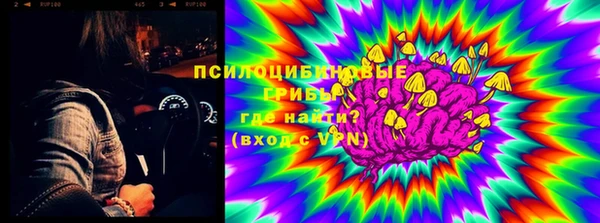 крисы Богданович