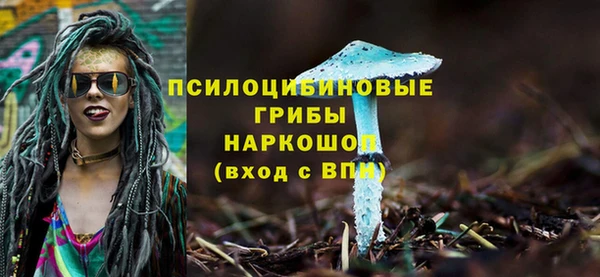крисы Богданович