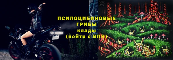крисы Богданович