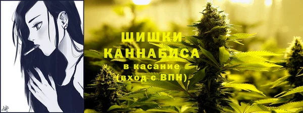 спайс Богородицк