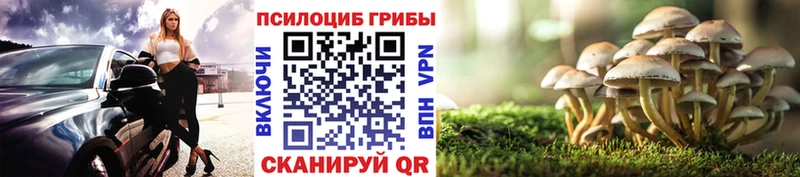 мега зеркало  купить закладку  Пермь  Галлюциногенные грибы ЛСД 